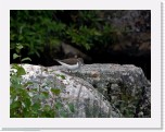rantasipi_sandpiper_9207 * 1480 x 1136 * (1.48MB)