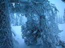 10_Jeris_1_2005 * 2560 x 1920 * (6.14MB)