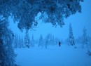 11_Jeris_1_2005_Snowfall * 2190 x 1590 * (3.44MB)