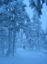 34_Jeris_1_2005 * 1704 x 2272 * (2.75MB)