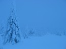 37_Jeris_1_2005_Sammalvaara * 2272 x 1704 * (2.35MB)
