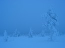 38_Jeris_1_2005_Sammalvaara * 2272 x 1704 * (2.08MB)