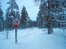 47_Jeris_1_2005_Reindeers * 2272 x 1704 * (5.4MB)