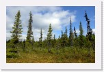 Kuuset6403 * 3264 x 2127 * (8.24MB)