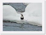dipper_1560 * 1832 x 1364 * (2.46MB)