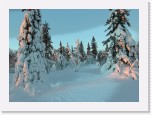 puut_1746 * 3108 x 2239 * (6.51MB)