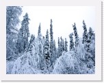 Olos7767 * 2963 x 2295 * (8.58MB)
