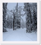 latu3 * 3553 x 3969 * (10.42MB)