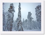 olos7757 * 3264 x 2448 * (10.33MB)