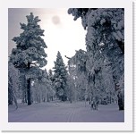 sammalvaara2 * 3010 x 2984 * (8.27MB)