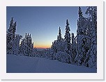 evning * 600 x 445 * (64KB)