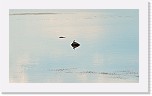 rantasipi_0282a * 2810 x 1606 * (2.1MB)