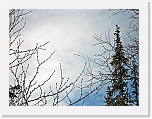 Eagles_3986 * 2592 x 1944 * (4.08MB)