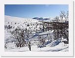 Pallas4246 * 2592 x 1944 * (4.52MB)