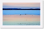 Q_Dwilight_7542 * 3765 x 2323 * (6.37MB)