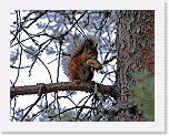 oravainen_0376 * 2612 x 2035 * (3.3MB)