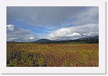 pallas_5300 * 3211 x 2131 * (7.63MB)