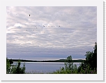 swallows * 800 x 600 * (324KB)