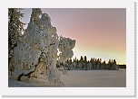 ilta_5685p * 800 x 543 * (412KB)
