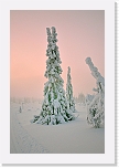 latu_5927 * 800 x 1205 * (596KB)