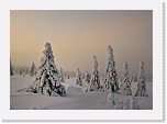 lumi_5783 * 800 x 560 * (310KB)