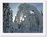 Snow_6522 * 3264 x 2448 * (9.2MB)