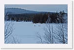 reindeears_1676 * 2658 x 1680 * (3.16MB)