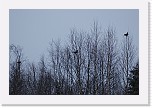 teeret_0107 * 3008 x 2000 * (4.09MB)