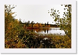 Ruska_1663 * 800 x 533 * (445KB)