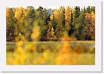 ruska_8710 * 800 x 531 * (448KB)
