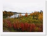 syksy1831 * 800 x 600 * (440KB)
