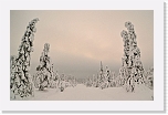2tykkypuut_2114b * 950 x 603 * (83KB)