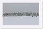 reindeers_porotokka7886 * 800 x 497 * (73KB)