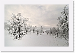 Pallas_0458 * 1000 x 661 * (462KB)