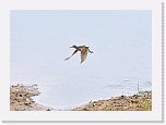 liro_5297b * 800 x 576 * (37KB)