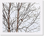 sinirinta_5279 * 800 x 638 * (159KB)