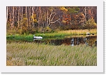 autum_7701 * 900 x 598 * (212KB)