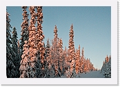 sunset_0267 * 900 x 617 * (564KB)