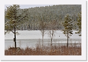 ensilumi_3169 * 900 x 599 * (475KB)