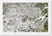 pyy_3272 * 901 x 601 * (513KB)