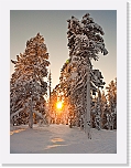 iltaP1130056 * 2849 x 3798 * (3.41MB)