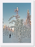 ladullaP1130177 * 2646 x 3692 * (1.79MB)