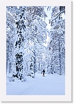 ladullaIMG_0593 * 2432 x 3648 * (3.22MB)