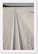 latuP1130797 * 2615 x 3922 * (1.97MB)