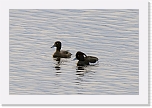 tukkasotkatDSC_1101 * 1000 x 666 * (422KB)