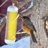 jeris03 13-200kuukkeli