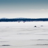 joutsen-pinja-sini-hiihto2