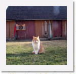 Katti_1638 * 1694 x 1647 * (2.95MB)