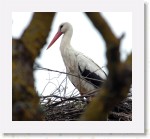 Kattohaikara_2045 * 2052 x 1878 * (1.99MB)