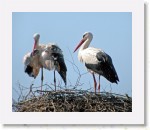 Kattohaikarat_1357 * 2169 x 1812 * (4.35MB)